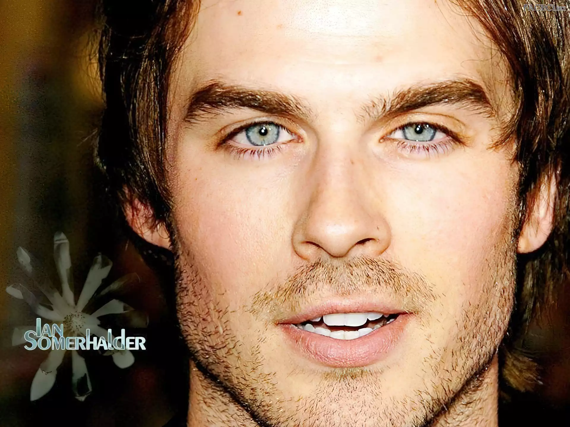 Ian Somerhalder